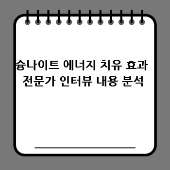 슝나이트 에너지 치유 효과  전문가 인터뷰 내용 분석