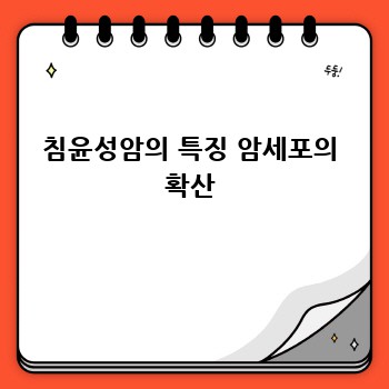 침윤성암의 특징 암세포의 확산