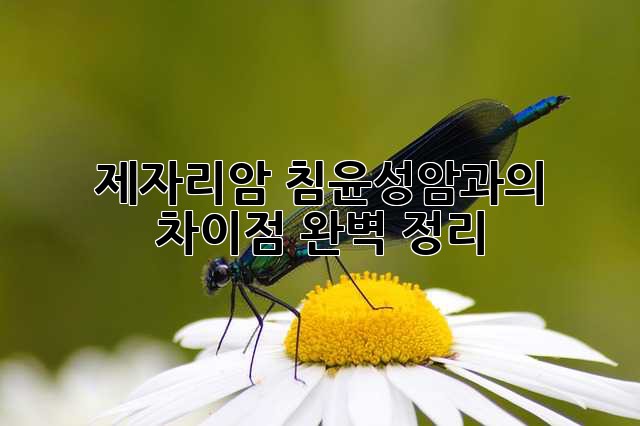 제자리암, 침윤성암과의 차이점 완벽 정리