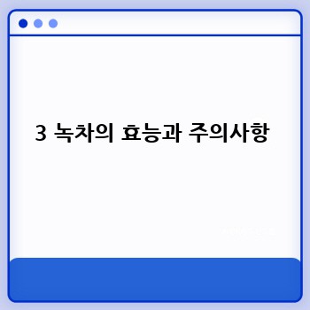 3 녹차의 효능과 주의사항