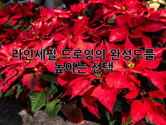 라인세필: 드로잉의 완성도를 높이는 선택