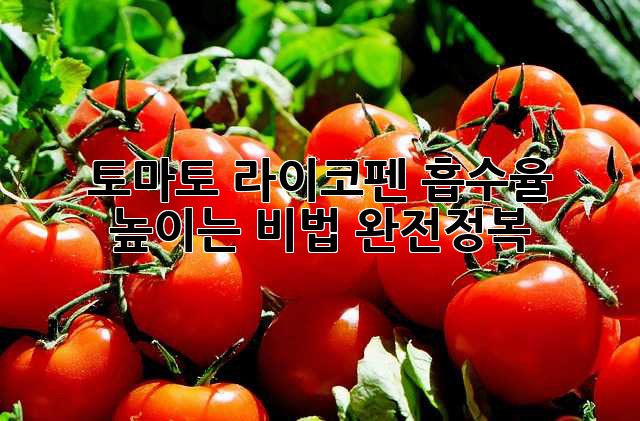 토마토 라이코펜: 흡수율 높이는 비법 완전정복!