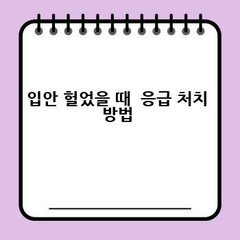 입안 헐었을 때  응급 처치 방법