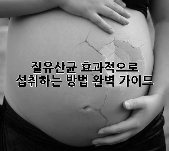 질유산균 효과적으로 섭취하는 방법 완벽 가이드