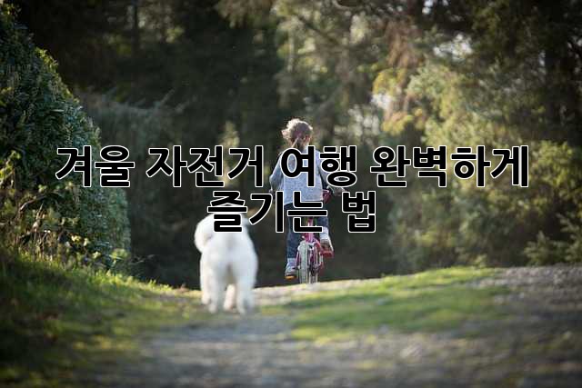 겨울 자전거 여행, 완벽하게 즐기는 법!