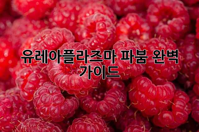 유레아플라즈마 파붐: 완벽 가이드