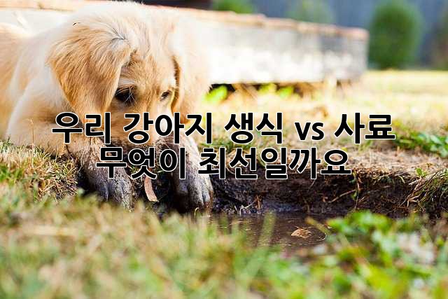 우리 강아지, 생식 vs 사료? 무엇이 최선일까요?