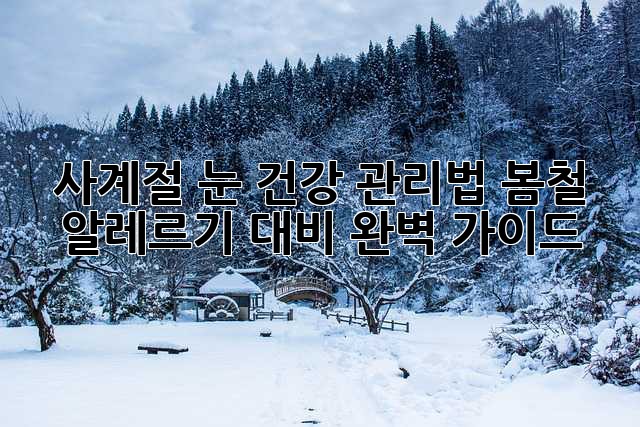 사계절 눈 건강 관리법: 봄철 알레르기 대비 완벽 가이드