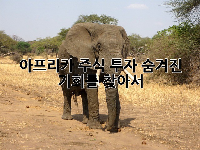아프리카 주식 투자: 숨겨진 기회를 찾아서