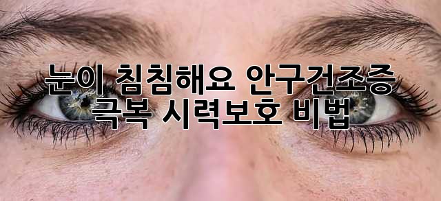 눈이 침침해요? 안구건조증 극복, 시력보호 비법!